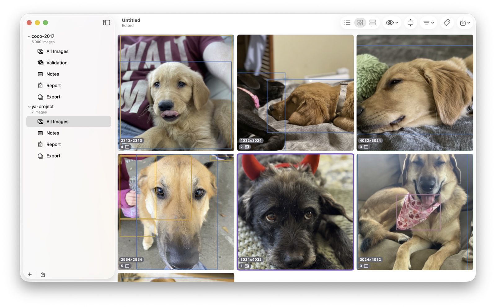 yaAnnotator showing a grid of annotated images