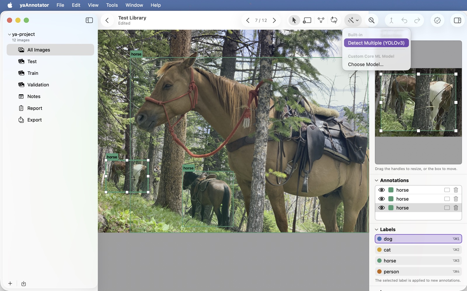 Model-assisted detection proposing bounding boxes in yaAnnotator