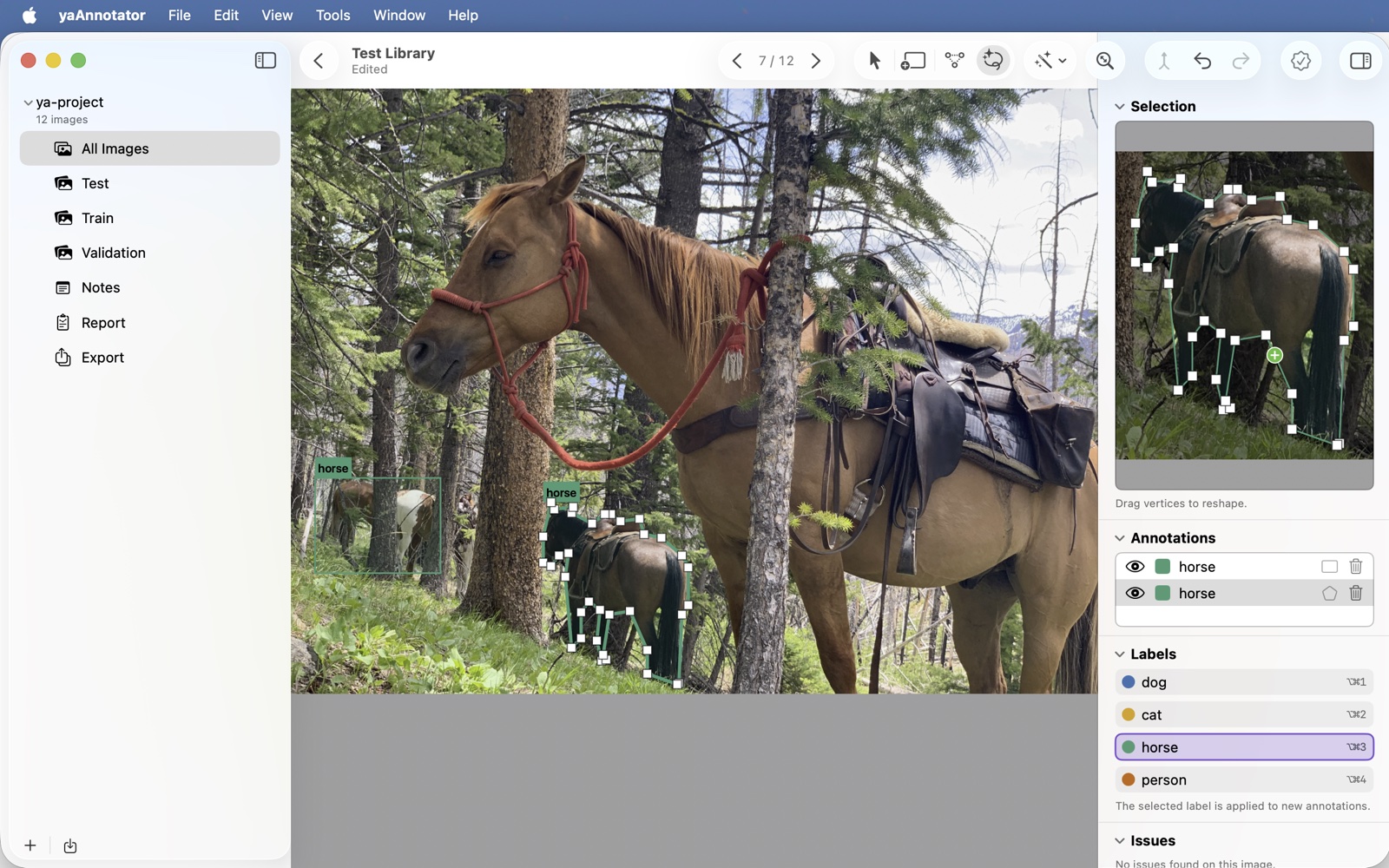 Drawing a polygon annotation on the yaAnnotator canvas