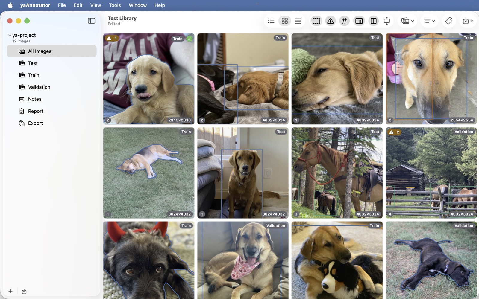yaAnnotator showing a grid of annotated images
