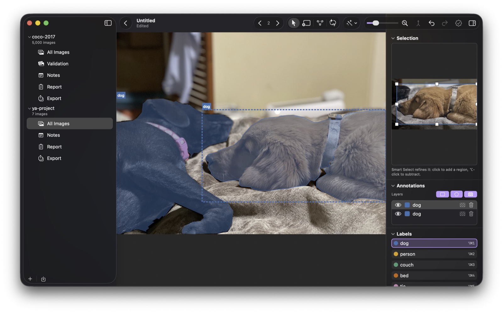 The yaAnnotator annotation editor with a polygon selected and the inspector open